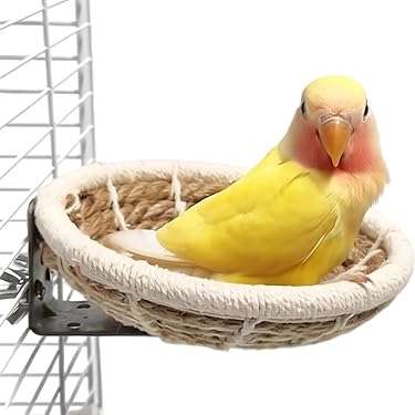 Amazon.co.jp 最新リリース: 鳥用品 の新着ランキングです。