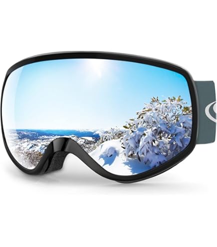 コンケスト　バイス　チューンナップ Amazon | SWIX(スウィックス) スキー/スノーボード