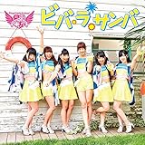 �r�o�E���E�T���o�y�ʏ�� type B�z