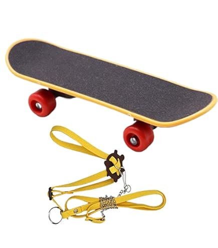 Amazon.co.jp: 本物のカメ用カメスケートボード - ポータブル