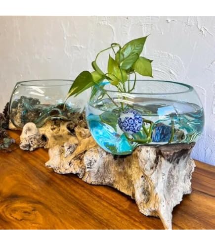 Amazon.co.jp: KANMURYOU 流木ガラスフラワーベース[3]【J】オブジェ