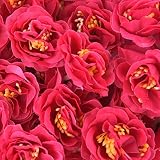SUND　造花 サザンカ　山茶花　花のみ　小さい目　つぼみ　花ボール　50輪セット　DIY　手作り　インテリア　雑貨　花部分のみ　シルクフラワー　可愛いカラバリ 高品質　造花　枯れない　結婚式　誕生日