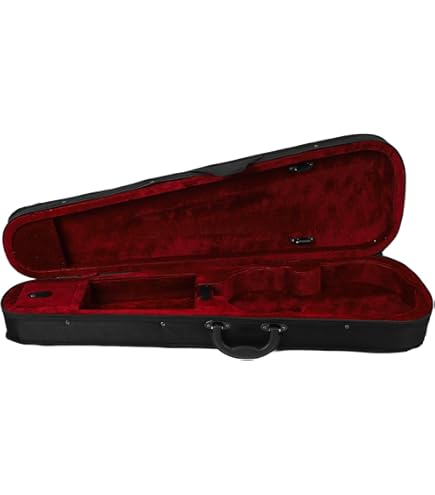 Amazon.co.jp: バイオリンボックス、JUANZI プロフェッショナル 4/4