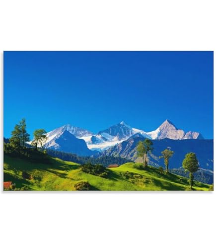 Amazon.co.jp: スイス、アルプス、山、夏、自然、緑、家 キャンバスの