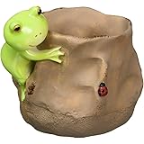 ロイヤルアーデン 置物・オブジェ 小物入れ/ふくろ 7×6.5×6cm カエル 64323