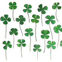 610VRokCZTL._AC_UL210_SR210,