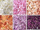 meiyiu Glamorous人工Cymbidium Orchid Flower For間引きパーティーホームU Best Priceギフトライスホワイト100個