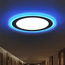 Amazon.co.jp: LUOFDCLDDD 浴室台所の天井用led埋め込みダウンライト