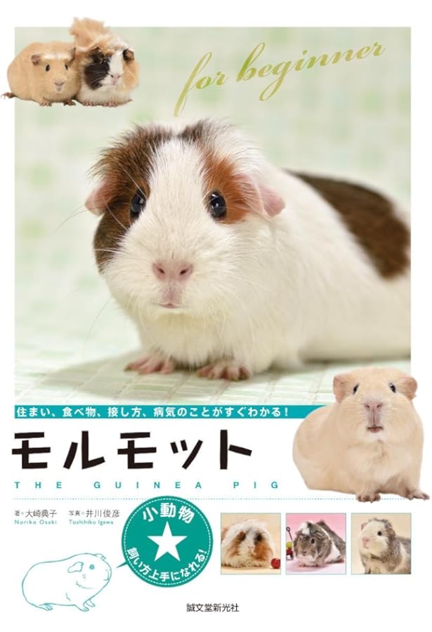 モルモット (生きものとくらそう! 5) | 三輪恭嗣 |本 | 通販 | Amazon