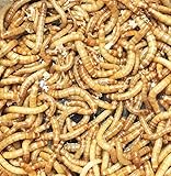 小ミルワーム 25g・50g・100g・200g ・500g 1.5cm〜2.5cm 死着補償 (50g)