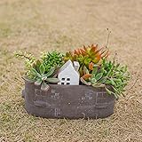 多肉植物 寄せ植え taniku メゾンタウン ( オーバルポット ) S サイズ