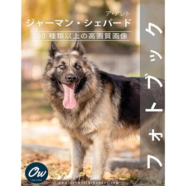 ジャーマン・シェパード (犬種別ハンドブック) | ブルース
