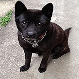 美GUMI あなたがこの世に生まれて来た意味