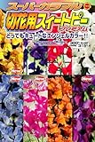 アタリヤ農園 ガーデニング用品 種 スーパーカラフル切花用スイートピー