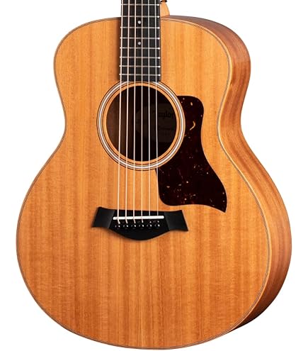 Amazon | Taylor 314ce エレアコギター テイラー | スチール弦