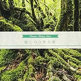 �����̎��R���y