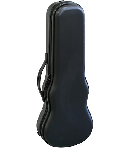 ウクレレ２本セット（ハードケース他備品一式セット） ウクレレ2本セット（ハードケース他備品一式セット）