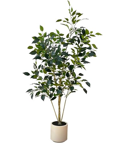 Amazon｜Fuyutu フェイクグリーン 大型 カシワバゴムノキ 160cm