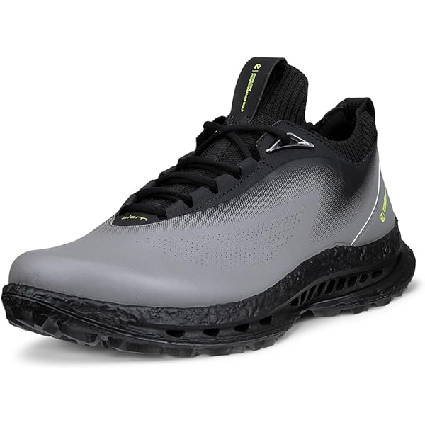 Amazon | ECCO Men's Biom C4 Gore-TEX Waterproof Golf Shoe, Black