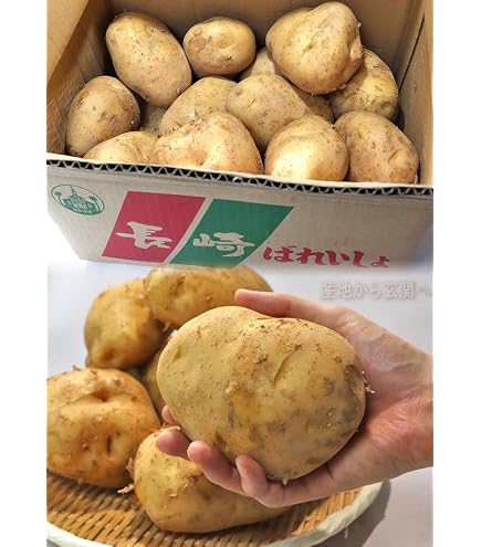Amazon.co.jp: 北海道剣淵産 ドラゴンレッド（M～L混）10Kg 北海道産
