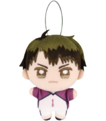 Amazon.co.jp: 【単品】岩泉一 ぬいぐるみ ハイキュー!! ぬいぷりけ