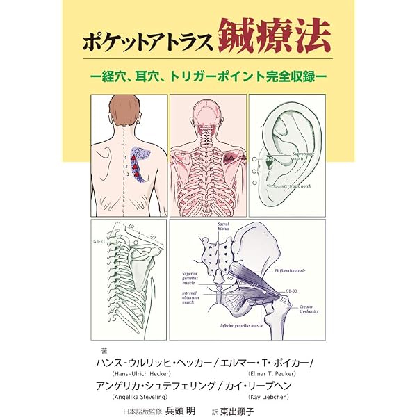Amazon.co.jp: 開業鍼灸師のためのガイドBOOK 日本人が書いた中医鍼灸