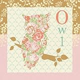 Oopsy Daisy Canvas Wall Art, Original Owl, 18" x 18" [並行輸入品]