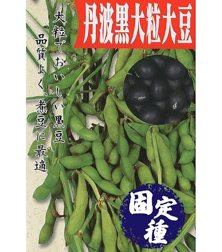 Amazon.co.jp: 大豆 種子 丹波黒大粒大豆 (60ml) : DIY・工具・ガーデン