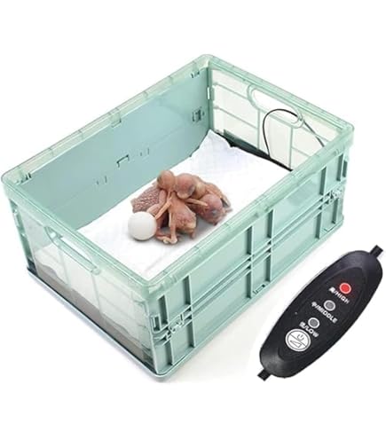 Amazon.co.jp: 育雛箱 ヒヨコ培養箱 ひよこ保育器 ひよこ保温箱 80cm