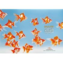 Gold Fish 金魚カレンダー 2026 (月めくり・壁掛け) ([カレンダー