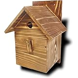 【野鳥用巣箱】本格派職人手作り 焼き杉巣箱 前扉タイプ(完成品)[YS250]