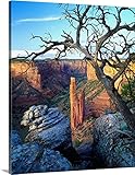 Massimo Ripaniプレミアムシックラップキャンバス壁アート印刷題名米国、アリゾナ、Canyon De Chelly National Monument、Spider Rock 24" x 3