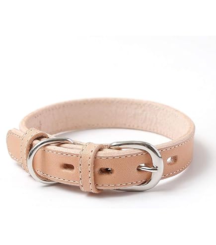 Amazon | ドイツ製 高級本革首輪 Das Lederband レダーバンド