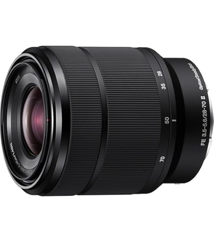 Amazon.co.jp: シグマ 28-70mm F2.8 DG DN (C) ソニーEマウント用