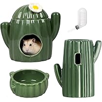 Amazon | Puhang ハムスターハウス 陶器 豪華4点セット サボテン