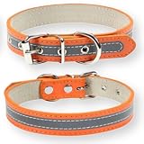 [LaLUCA GOODS] 首輪 犬 猫 革 定番 スタンダード PU レザー シンプル 反射素材 小型犬 中型犬 ドッグ 散歩 カラフル オレンジ 2XL