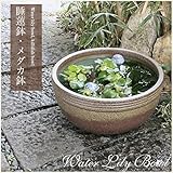 信楽焼 13号窯肌ボール型すいれん鉢 睡蓮鉢 スイレン鉢 金魚鉢 水鉢 陶器 su-0082