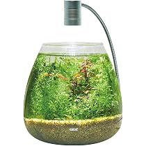 Amazon.co.jp: ジェックス MeGreen 新鮮な水草付き グラスアクア
