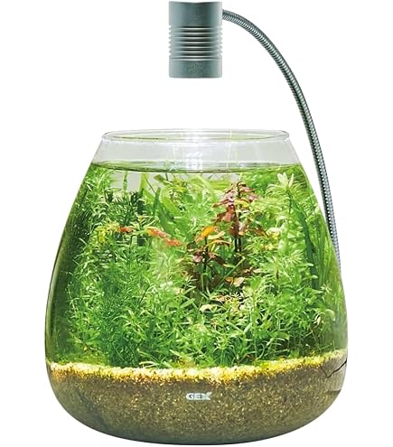 Amazon.co.jp: 受注作 アクアテラリウム 滝 池 苔テラリウム 30cm水槽