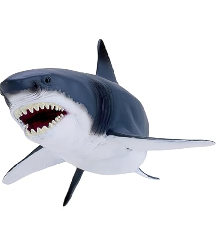 Amazon.co.jp: COLLECTA ホホジロザメ 88729 : おもちゃ