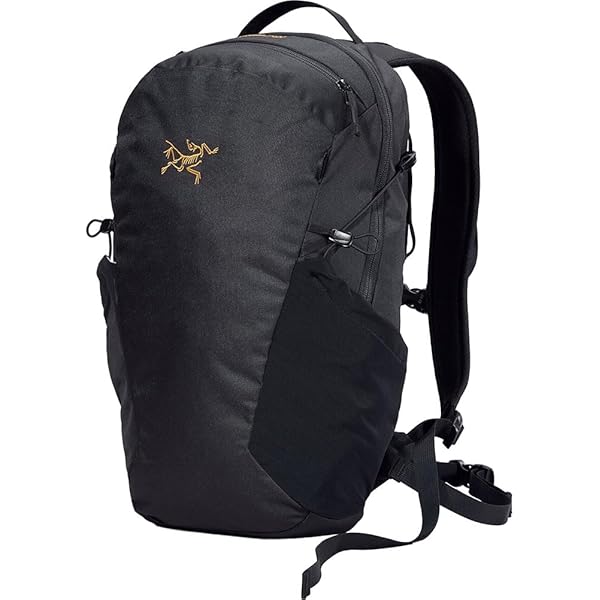 Amazon.co.jp: [アークテリクス] ARCTERYX マンティス26バックパック