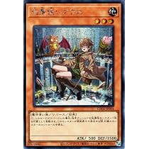Amazon.co.jp: 遊戯王カード 火霊使いヒータ(シークレットレア) THE