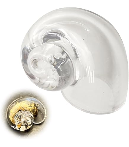 希少　天然巻貝　置物 大きめ　約33cm 71R7IFT0wfL._AC_UL210_SR210,