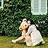 新垣結衣「hug(初回限定盤B)」
