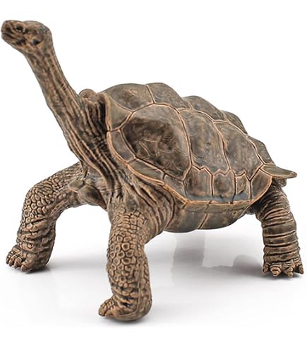 Amazon.co.jp: 動物惑星第3弾 ホウシャガメ 亀 フィギュア リアル 模型