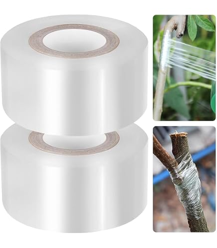 Amazon.co.jp: カラタチの種 (20) : DIY・工具・ガーデン