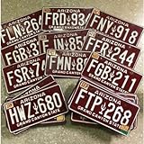 アリゾナ州 ナンバープレート ARIZONA ライセンスプレート License Plate CACTUS サボテン カクタス アメリカ雑貨 アメリカン雑貨