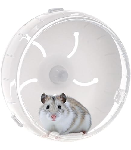 値下げ中☆SANKO 小動物用　ケージ 回転式ホイール 値下げ中☆SANKO 小動物用 ケージ 回転式ホイール - メルカリ
