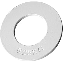 Amazon | Fityle フラクショナルオリンピックプレートのペア-0.55 lb