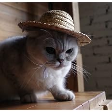 Amazon Miyinla おしゃれ 猫用帽子 猫コスプレキャップ 麦わらの帽子 ペット用品 猫用帽子 可愛さ100倍 犬用コスチューム 犬服 アクセサリー S Miyinla 服 アクセサリー 通販 Amazon Miyinla おしゃれ 猫用帽子 猫コスプレキャップ 麦わらの帽子 ペット用品 猫用帽子 可愛さ100倍 犬用コスチューム 犬服 アクセサリー S Miyinla 服 アクセサリー 通販